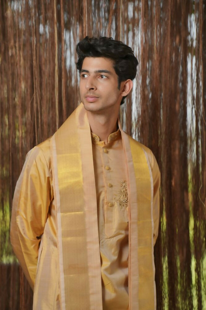 Gold Mirage Kanjivaram Machien Embroidered Pattu Set by Hilo Design