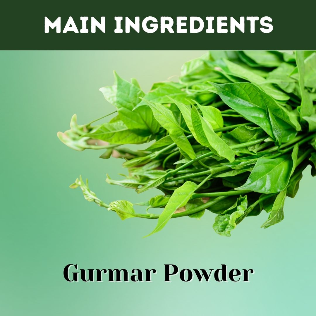 Herbal Hills Gurmar Powder