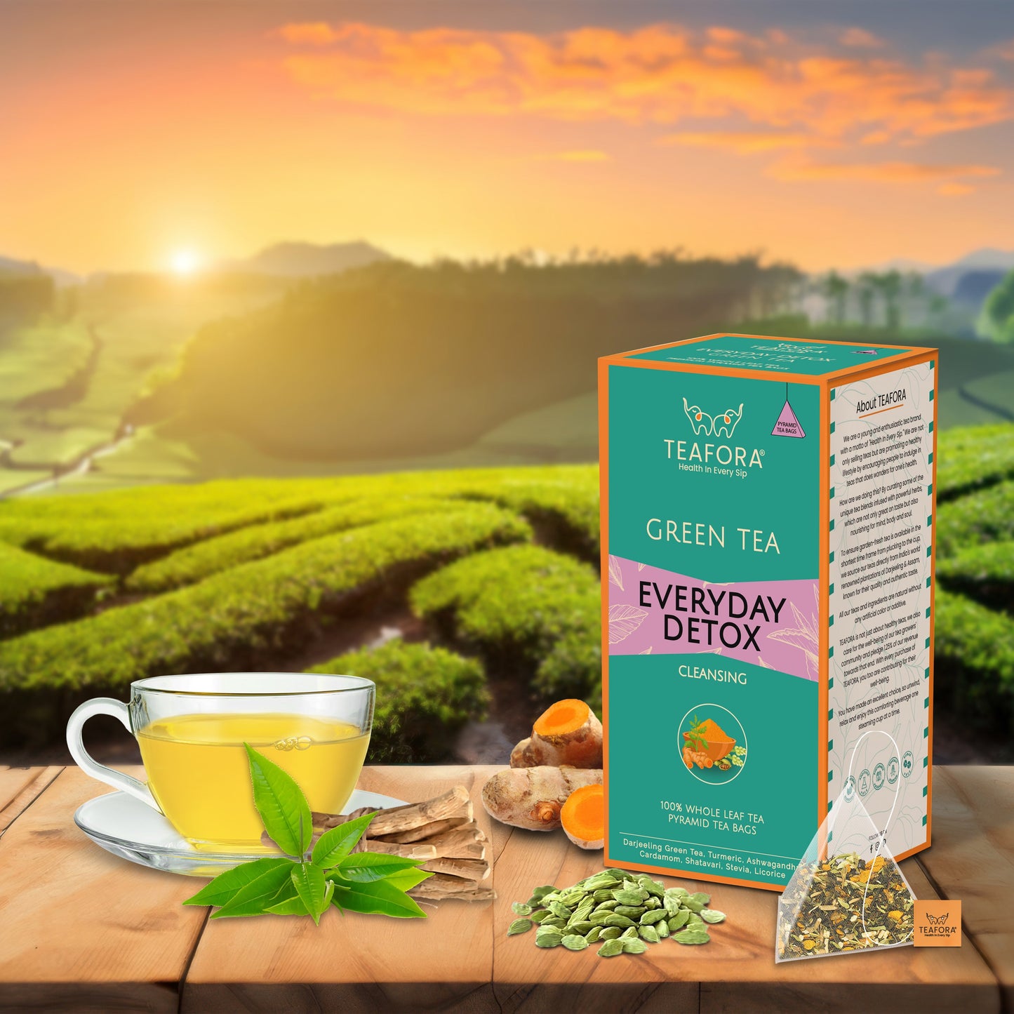 TEAFORA Everyday Detox Green Tea Bags | 20 Count Pyramid Tea Bags