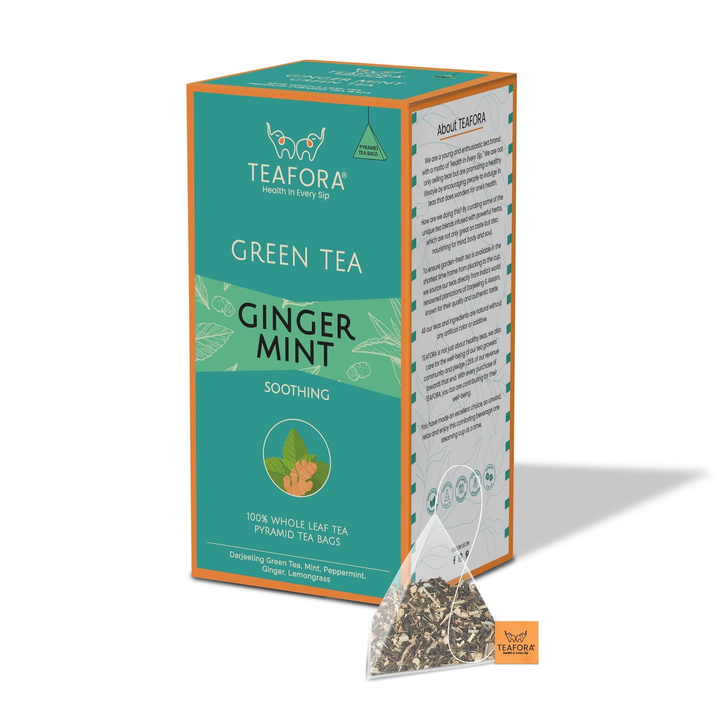 TEAFORA Ginger Mint Green Tea | 20 Count Pyramid Tea Bags