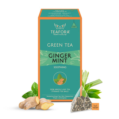 TEAFORA Ginger Mint Green Tea | 20 Count Pyramid Tea Bags