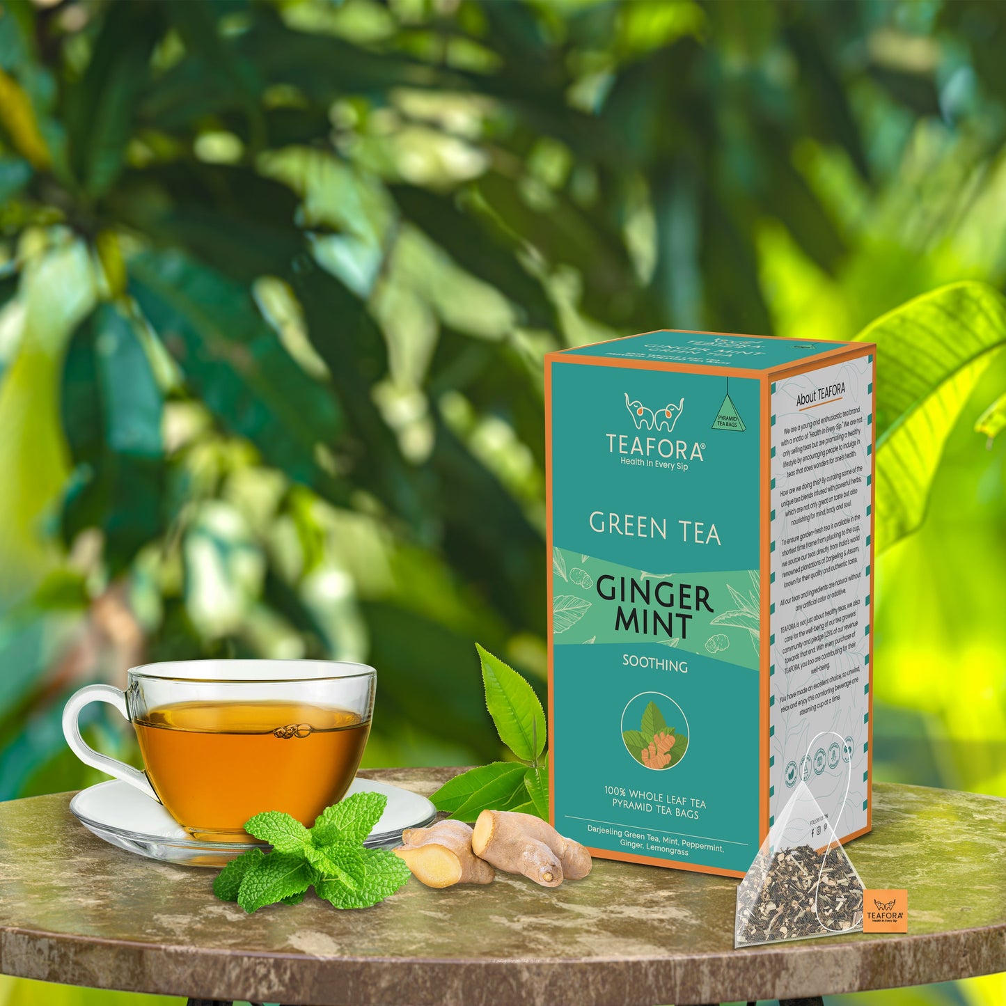 TEAFORA Ginger Mint Green Tea | 20 Count Pyramid Tea Bags
