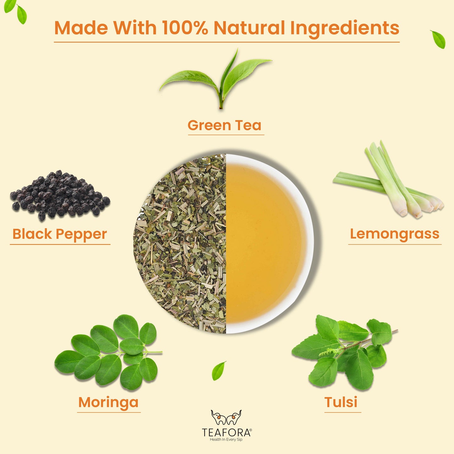 TEAFORA Moringa Tulsi Green Tea | Darjeeling Loose Leaf Tea | 100% Natural Moringa & Tulsi Leaves | Immune Support Tea