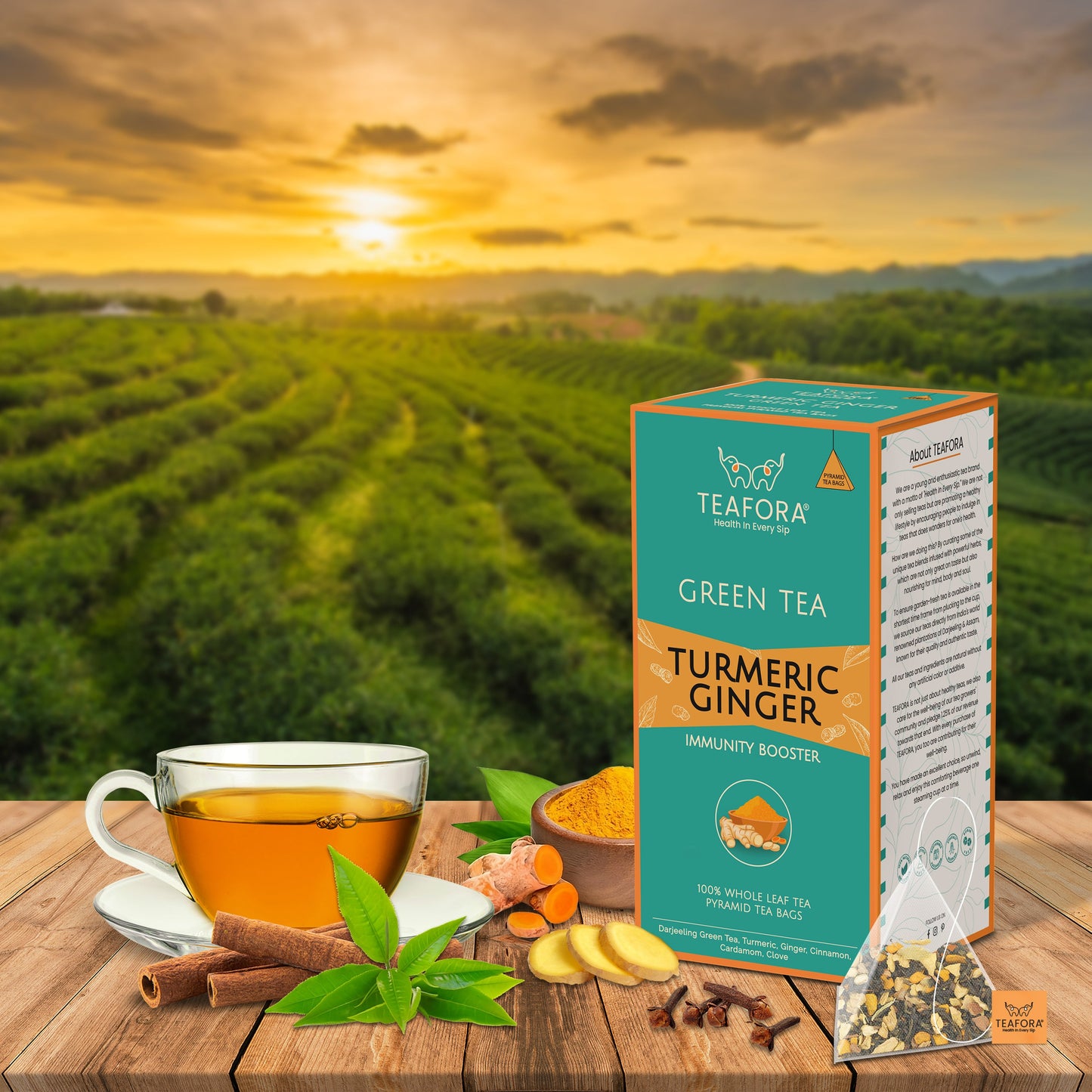 TEAFORA Turmeric Ginger Green Tea | 20 Count Pyramid Tea Bags