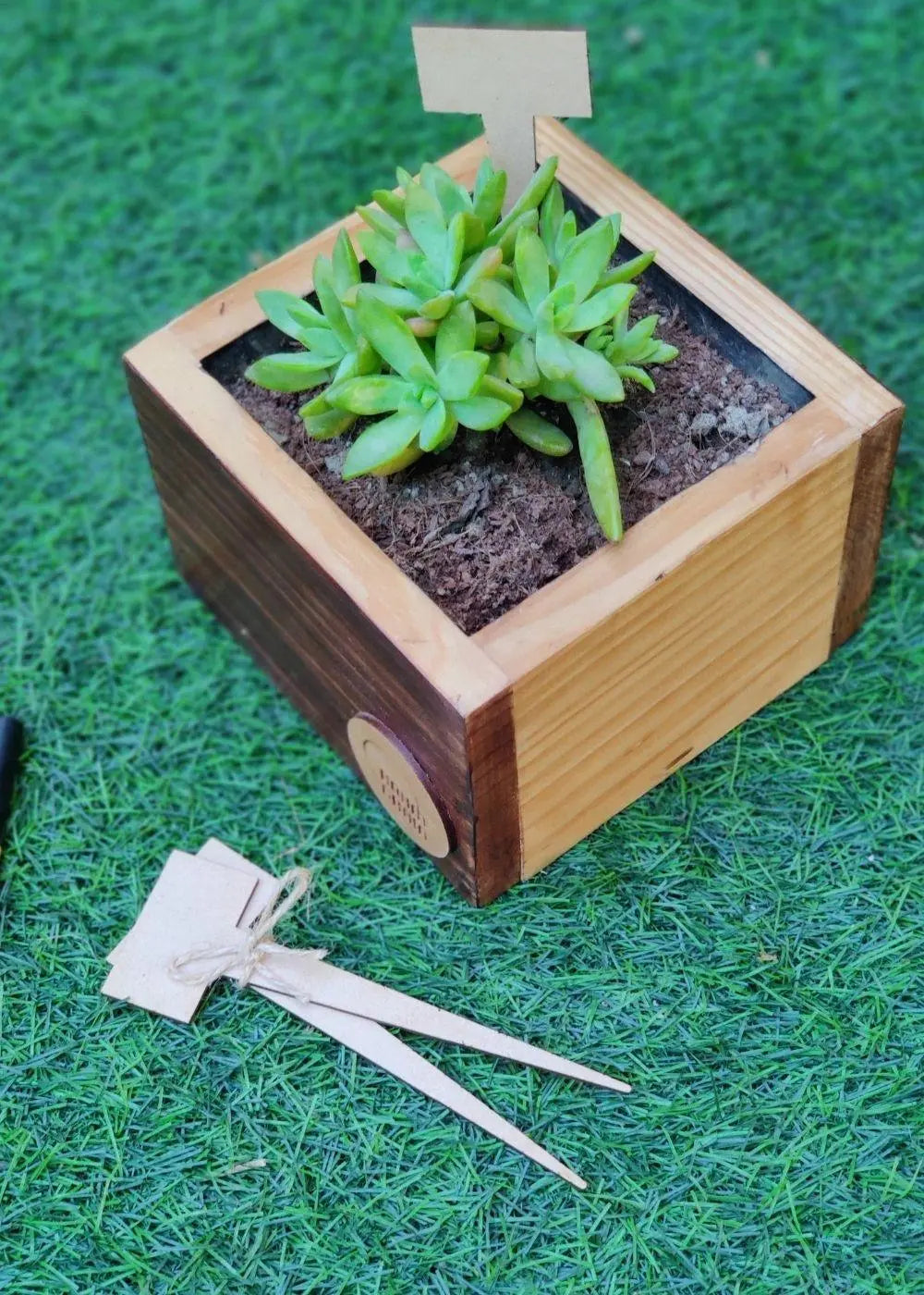 Cube Planter in Pine Wood | 8"