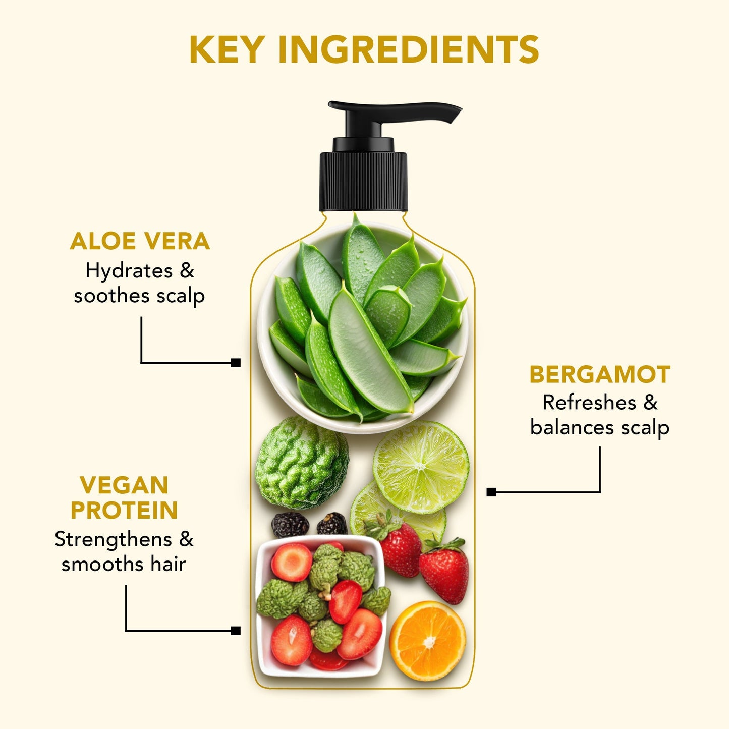 Botanic Hearth Hydrate & Soften Shampoo with Aloe Vera & Vegan Protein
