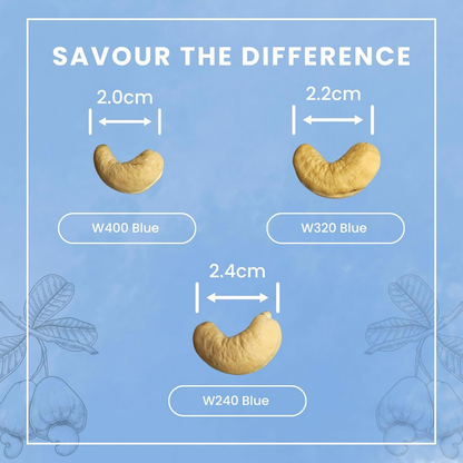 Zantye's Goan Cashew W320 Premium Kaju