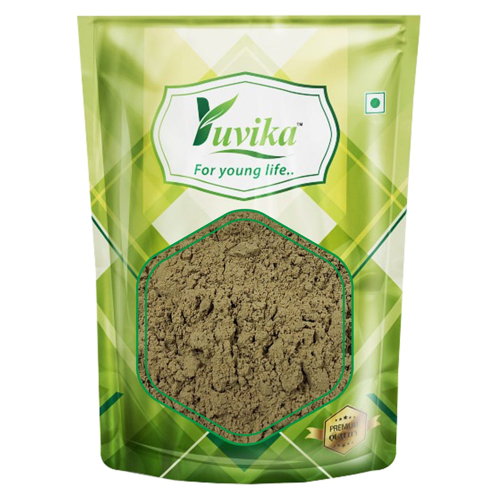 Yuvika Harshringar Patta Powder Parijaat Leaves  Nyctanthes Arbor Tristis Night Jasmine