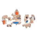 Matoyi Wooden Balancing Animals - 14 Pcs Set