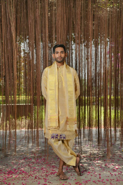 Gold Tissue Kanjivaram Machien Embroidered Pattu Set by Hilo Design