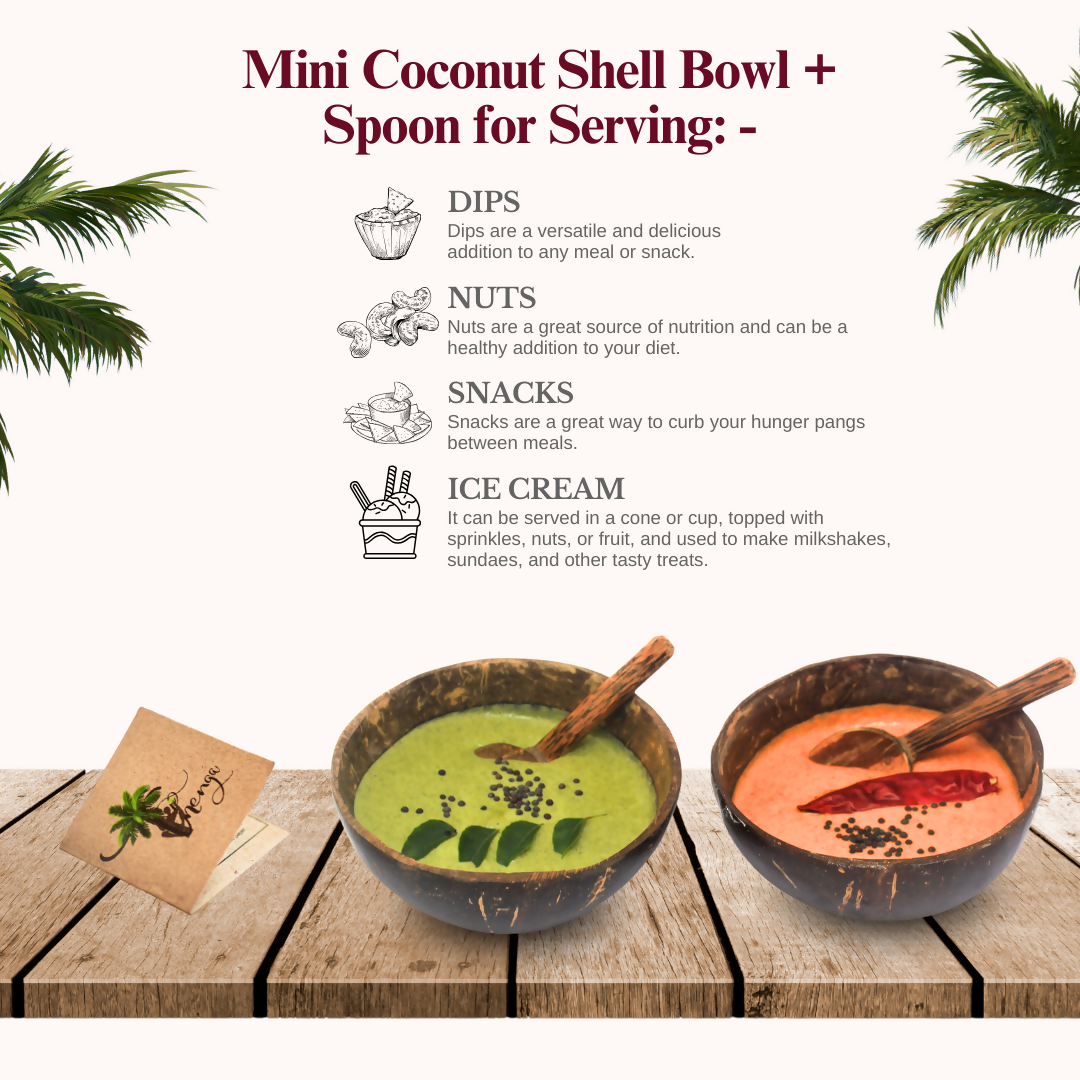 Thenga Artisan Mini Coconut Shell Bowl with Spoon