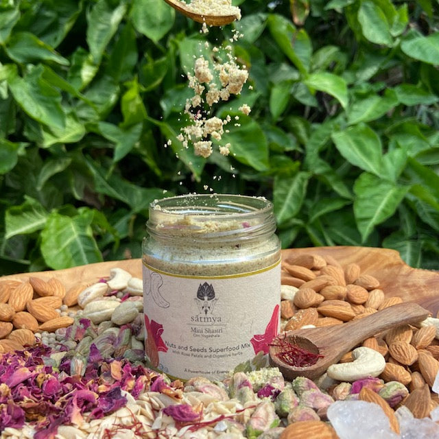 Satmya Nuts and Seeds Superfood Mix - 150 gms