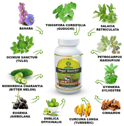 Sushrut Ayurved Good Health Sugar Knocker Veg Capsules