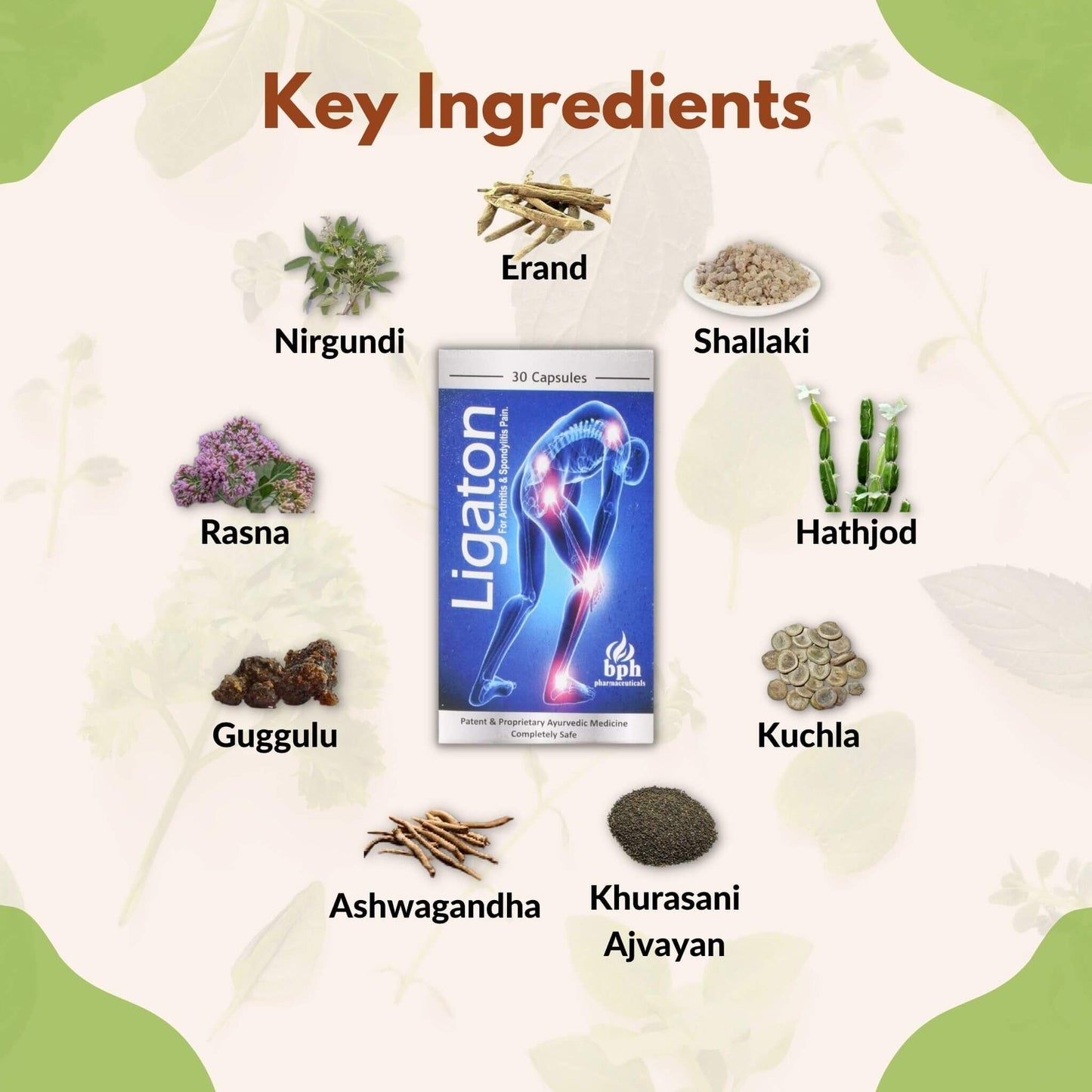 SN Herbals Ligaton Capsules - 30 Cap
