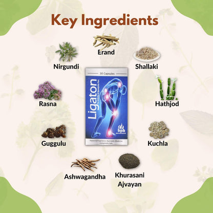 SN Herbals Ligaton Capsules - 30 Cap