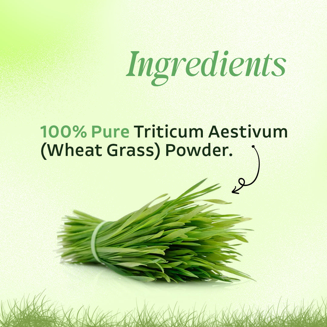 Vardhan Triticum Aestivum Fine Powder - 100 gms