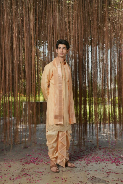 Tan Kanjivaram Hand Embroidered Pattu Set by Hilo Design