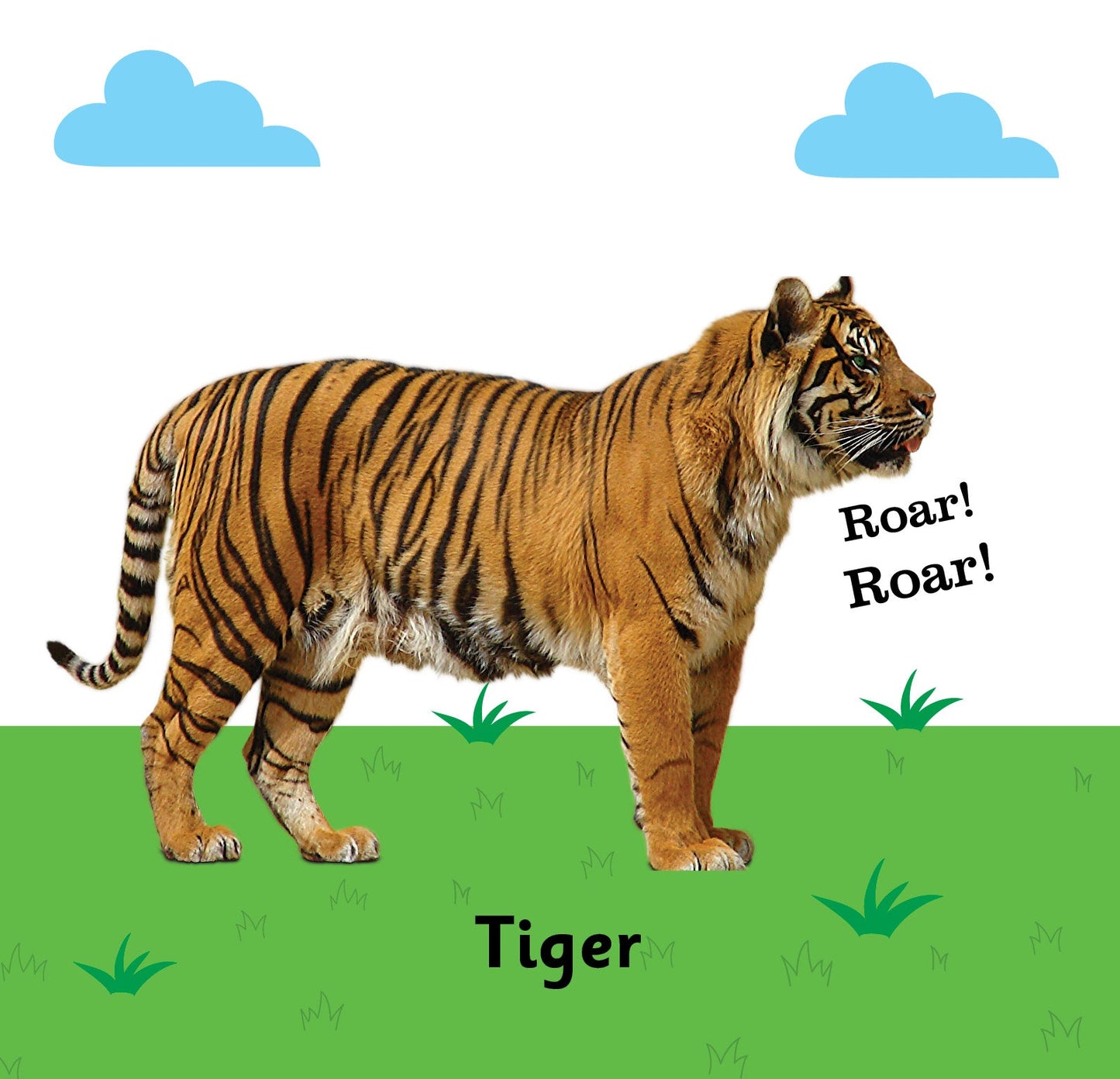 Jolly Kids Touch and Feel Board Book: Animals| Picture Book for Kids Ages 1-4 Years| Touch & Feel Activity Book