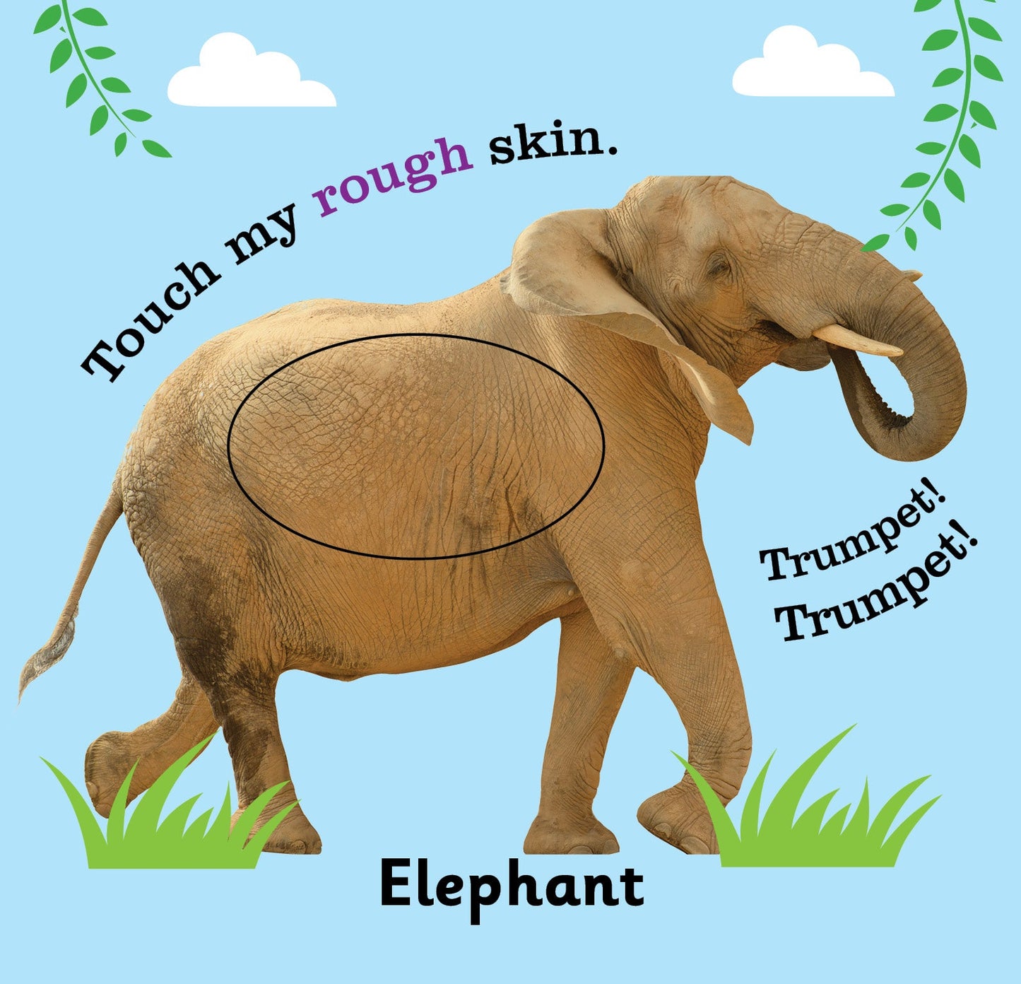Jolly Kids Touch and Feel Board Book: Animals| Picture Book for Kids Ages 1-4 Years| Touch & Feel Activity Book