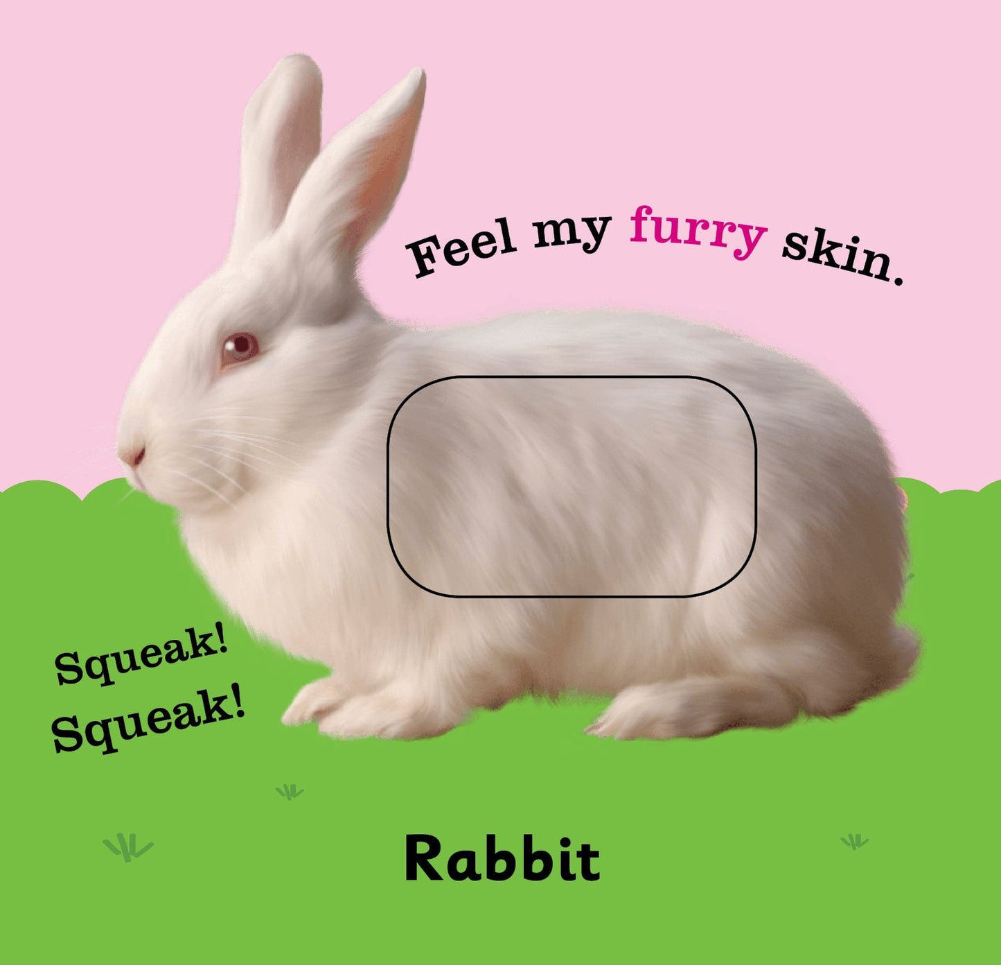 Jolly Kids Touch and Feel Board Book: Animals| Picture Book for Kids Ages 1-4 Years| Touch & Feel Activity Book