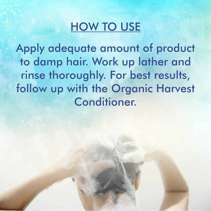 Organic Harvest Orgadyne Anti-Dandruff Shampoo