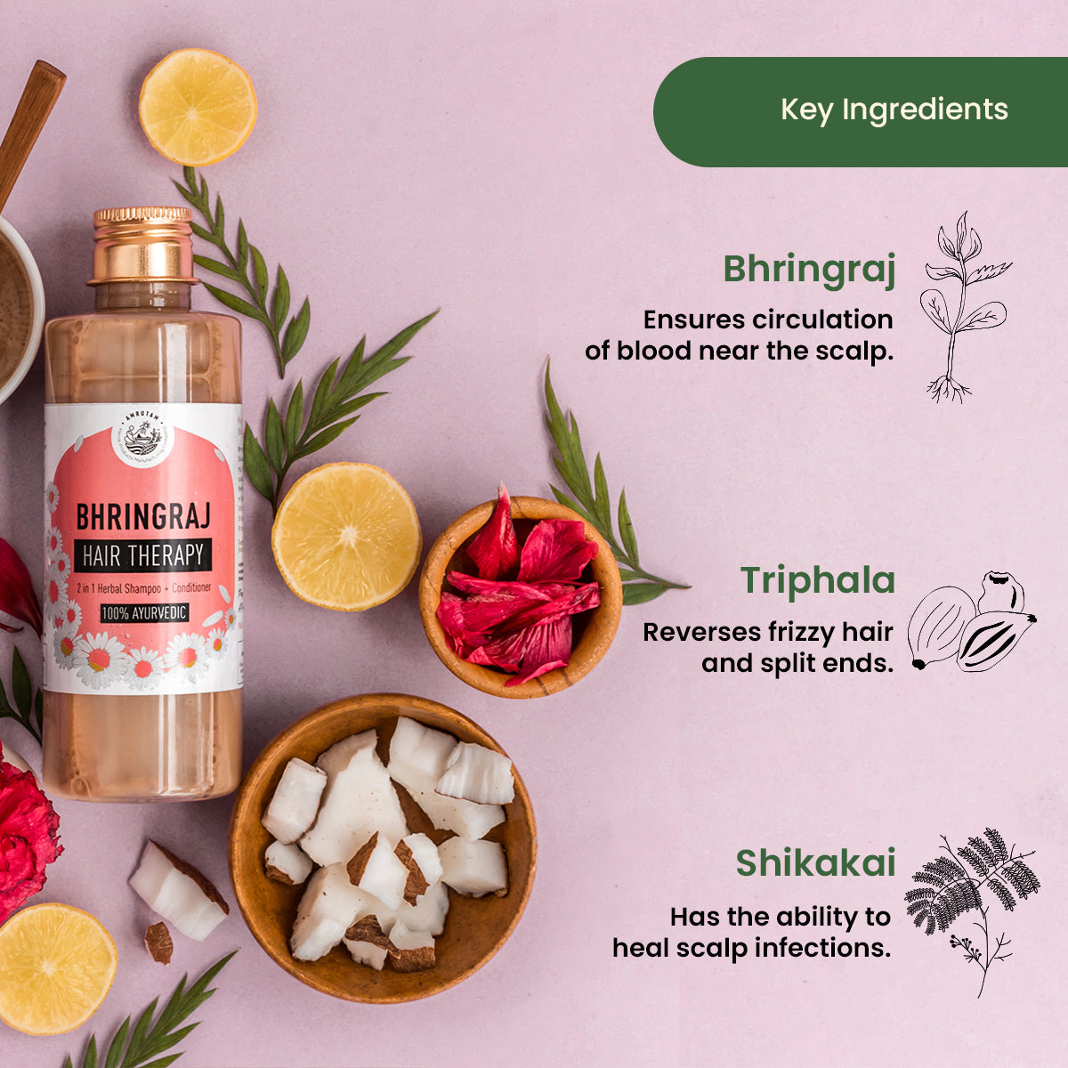 Amrutam Bhringraj Hair Therapy 2 in 1 Herbal Shampoo and Conditioner - 30 ml