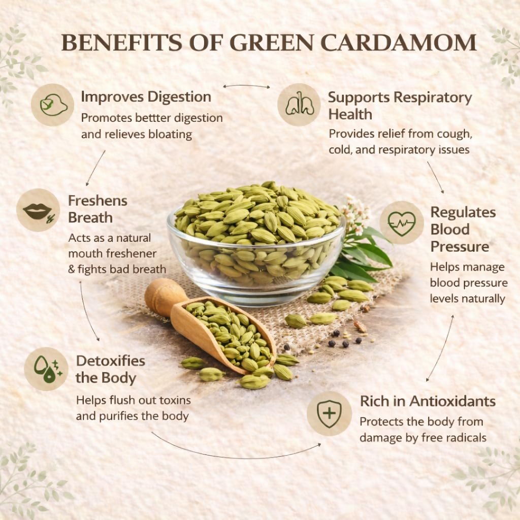 Village-Organica Green Cardamom (Elaichi) Whole – Handpicked