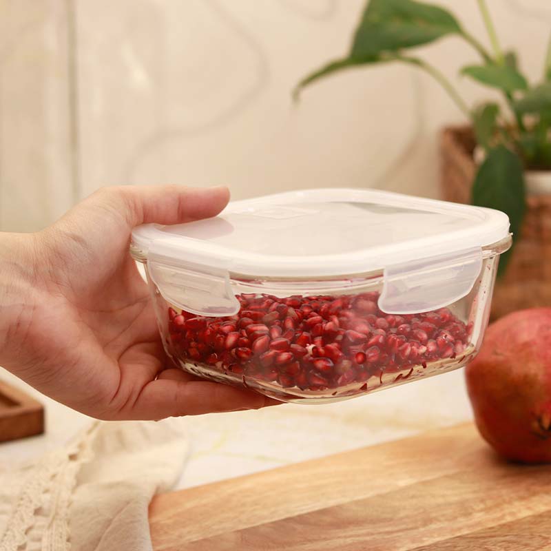 Glass Container Lunch Box | Set of 2 (Rectangle + Square)