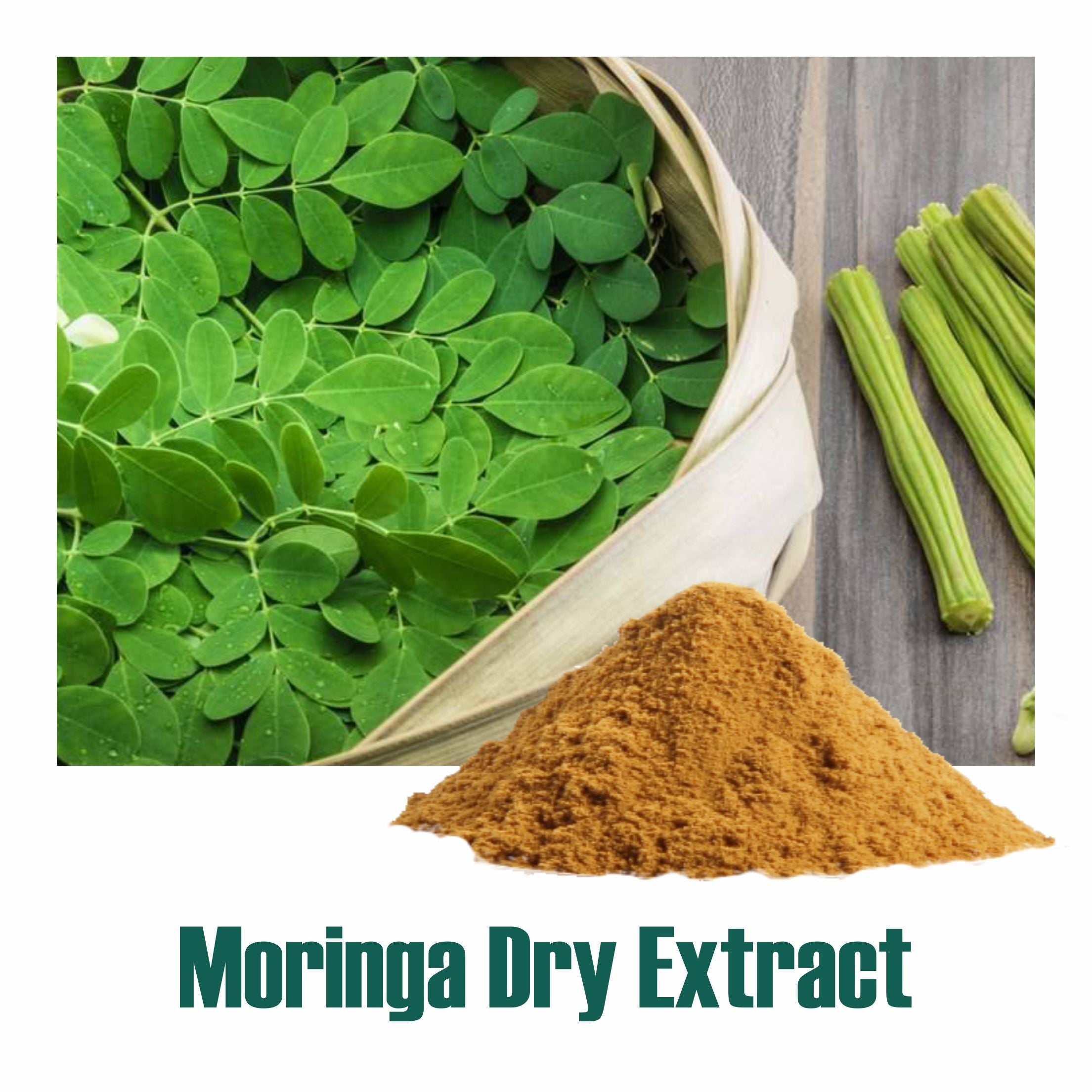 Bixa Botanical Moringa/ Shigru (Moringa oleifera) dry Extract - 30% Saponins by Gravimetry - 1kg