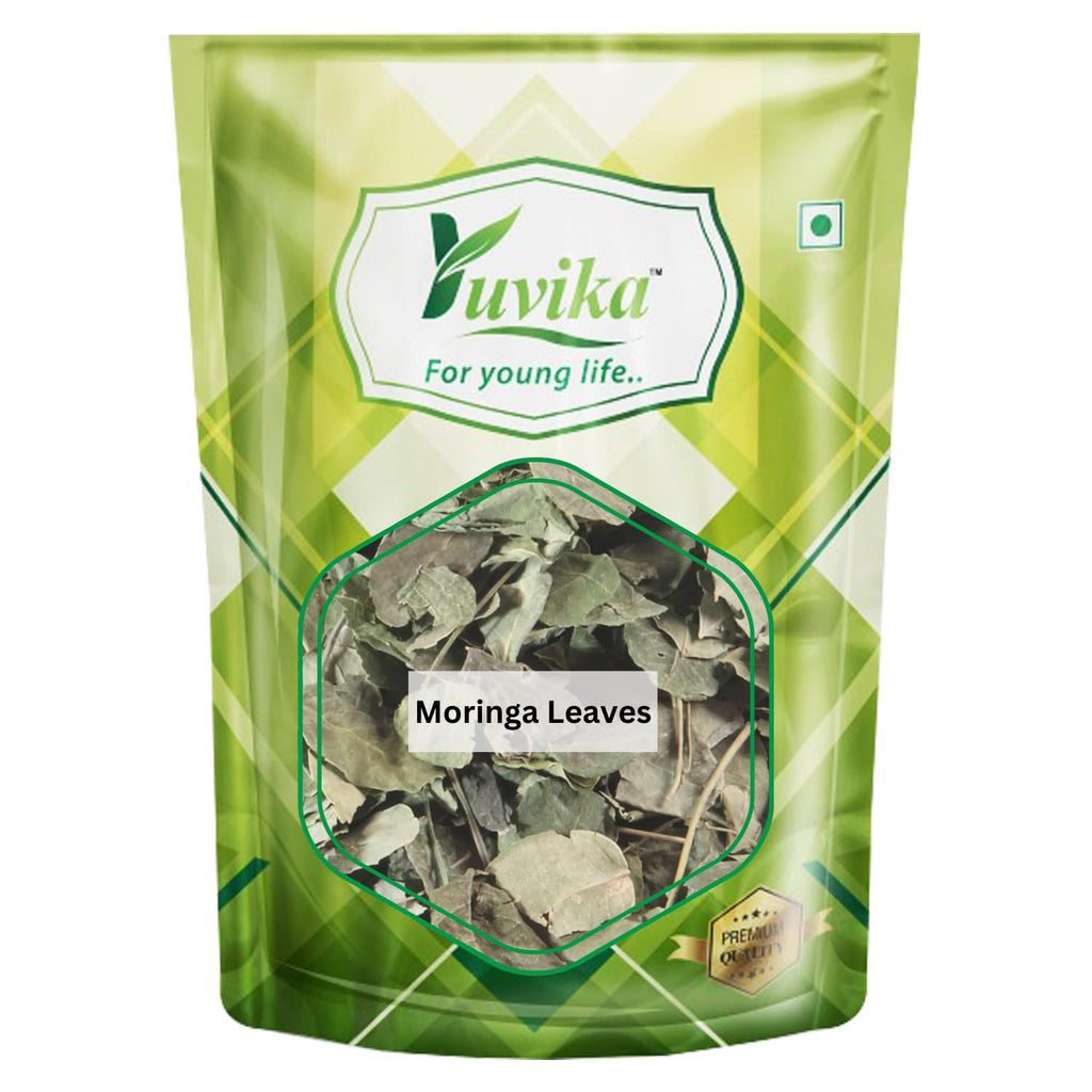 Yuvika Moringa Leaves Moringa Oleifera Sohjana Patti