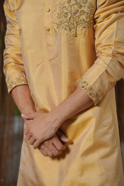 Gold Mirage Kanjivaram Machien Embroidered Pattu Set by Hilo Design