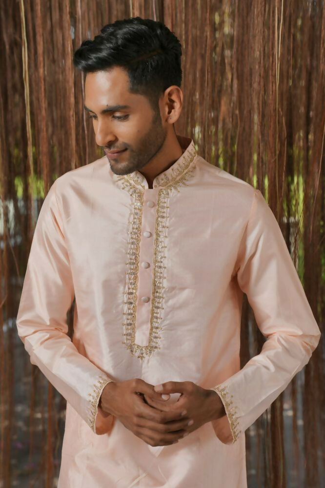 Light Pink Kanjivaram Machine Embroidered Pattu Set by Hilo Design