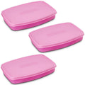 Nayasa Witty Big Regular Plastic Lunch Box Set of 3