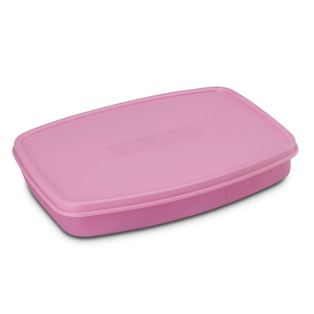 Nayasa Witty Big Regular Plastic Lunch Box Set of 3