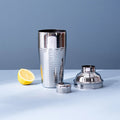 Nestroots Exquisite Silver Cocktail Shaker Stainless Steel