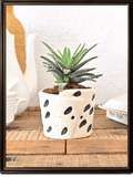 Melon Matte Finish Ceramic Pot With Seed Print | Mutiple Colors