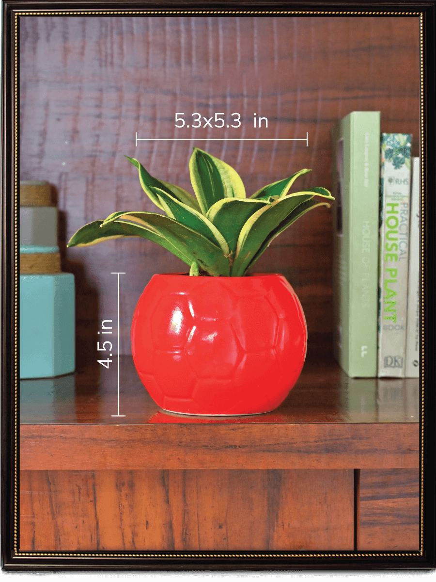 Red Football Ceramic Pot