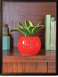 Red Football Ceramic Pot