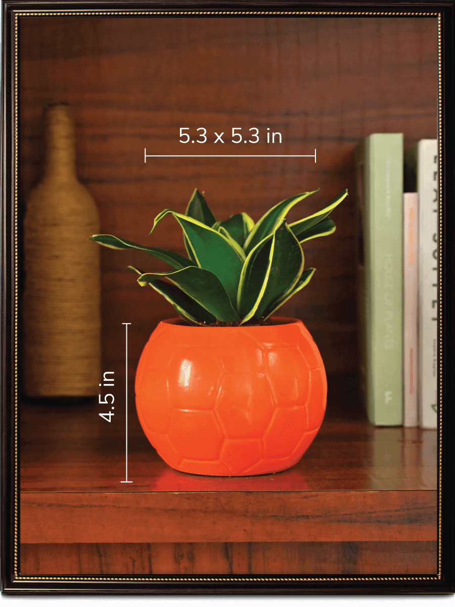 Orange Football Ceramic Pot