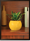Yellow Football Ceramic Pot