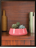 Tulip Fantasy Ceramic Pot | Ugaoo | Mutiple Colors