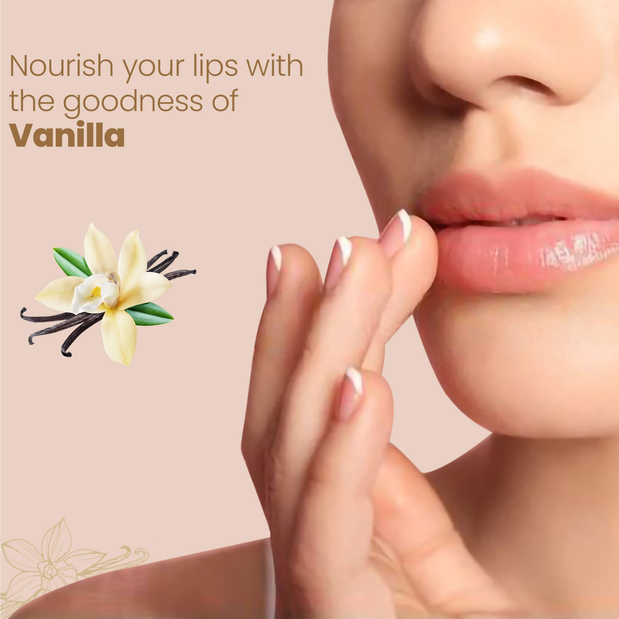 Himalaya Natural Soft Vanilla Lip Care - 4.5 gms