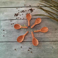 Zishta Neem Wood Broad Spoons Set of 6