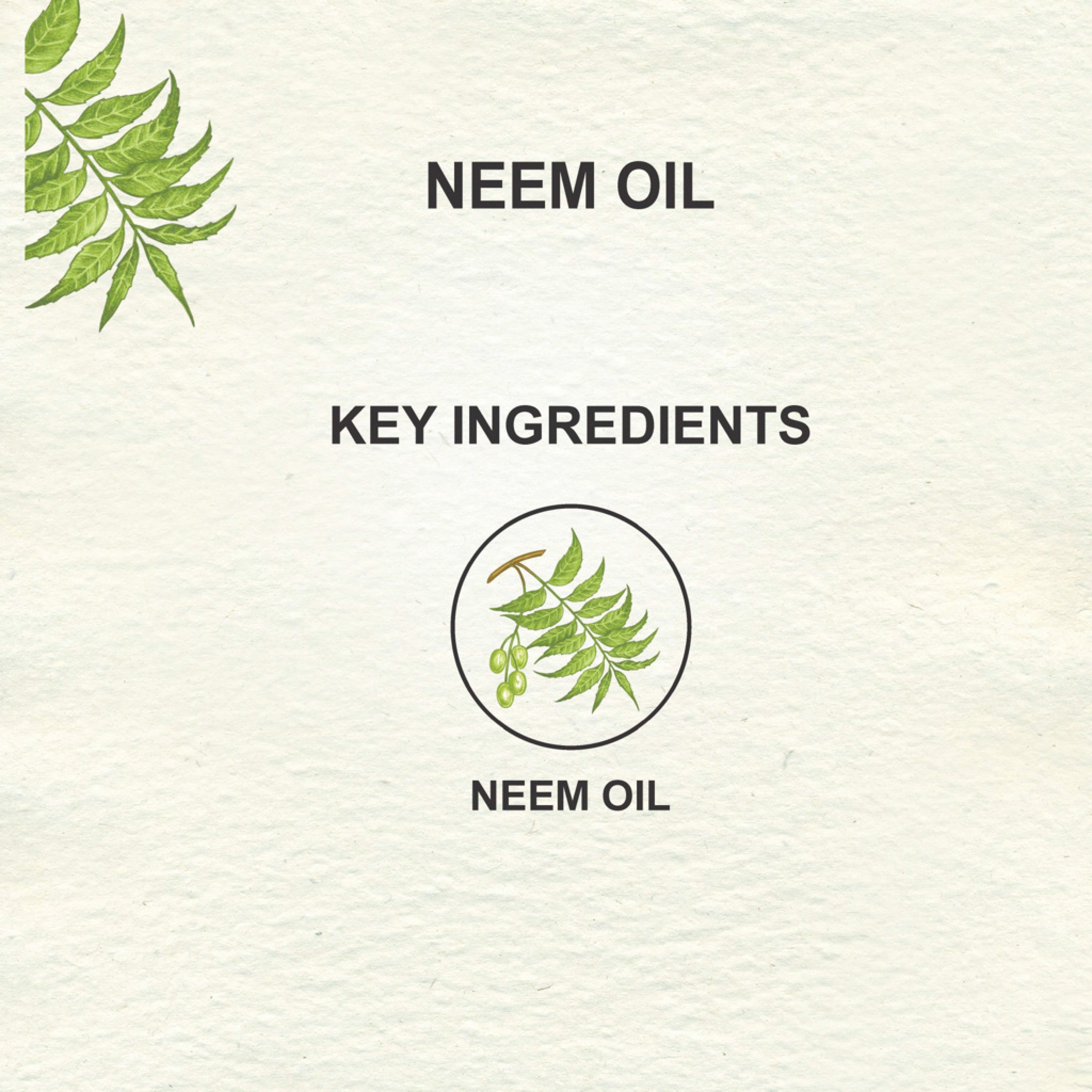 Love Earth Organic Neem Oil - 100 ml