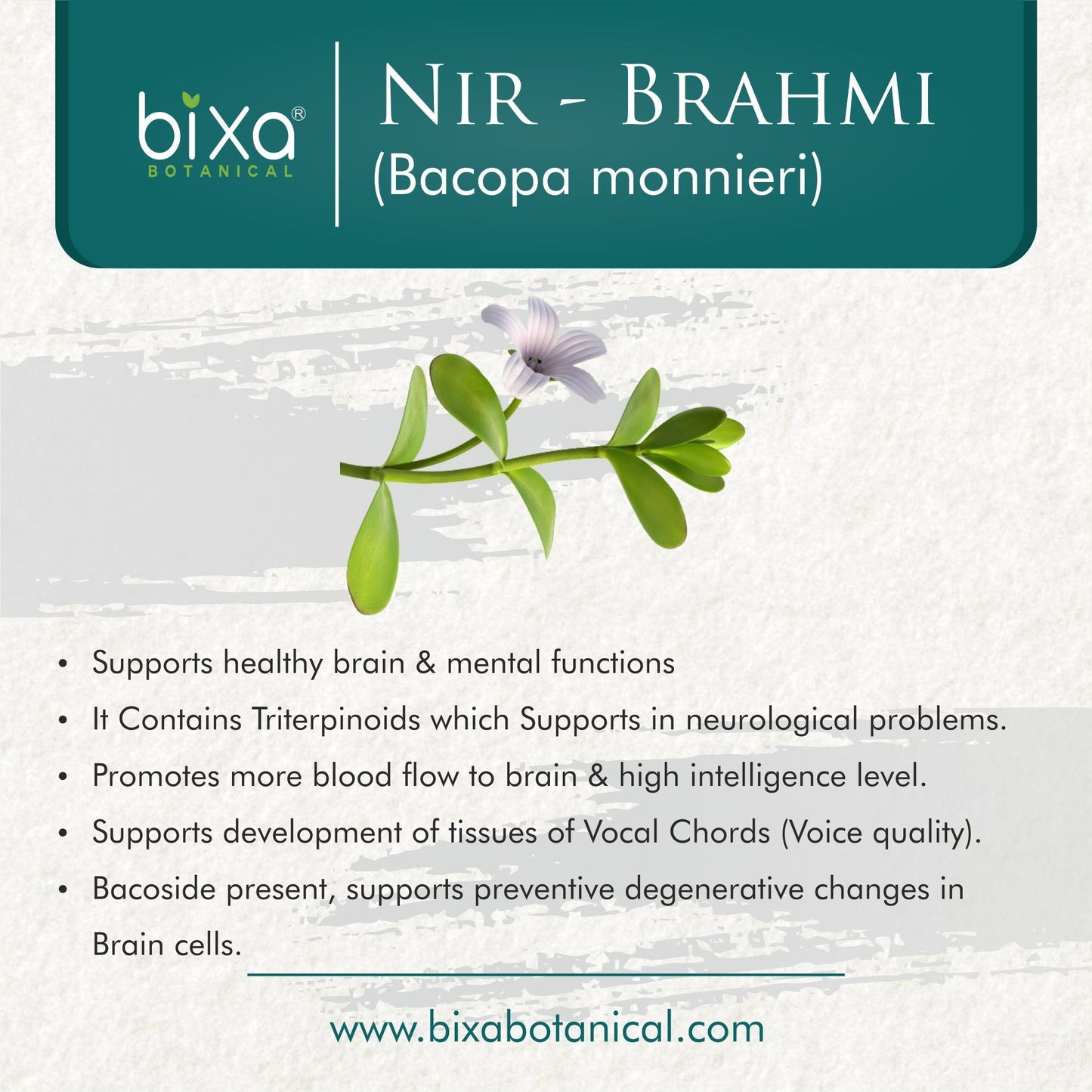Bixa Botanical Brahmi - Nir Brahmi Herb Powder Bacopa Monnieri - 200 gms