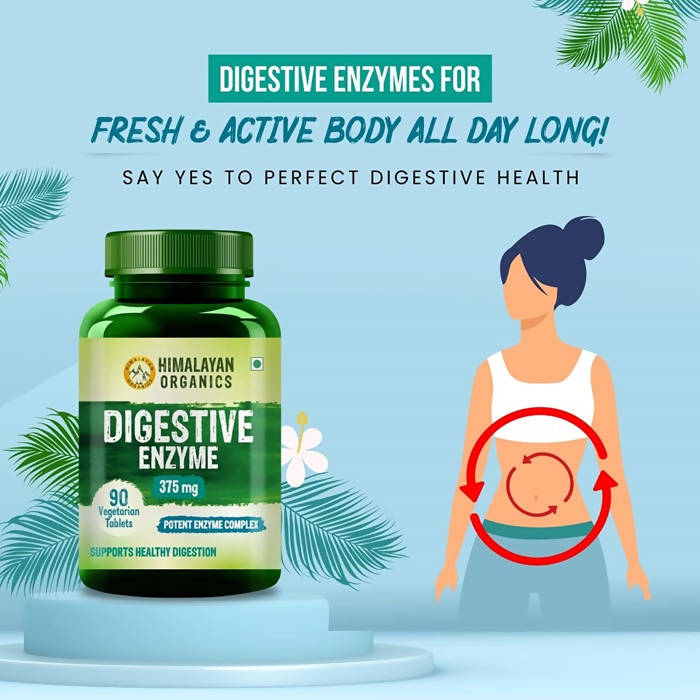 Himalayan Organics Digestive Enzyme - 90 tabs
