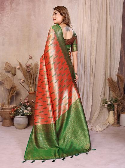 Anaita Banarasi Tissue Silk Saree