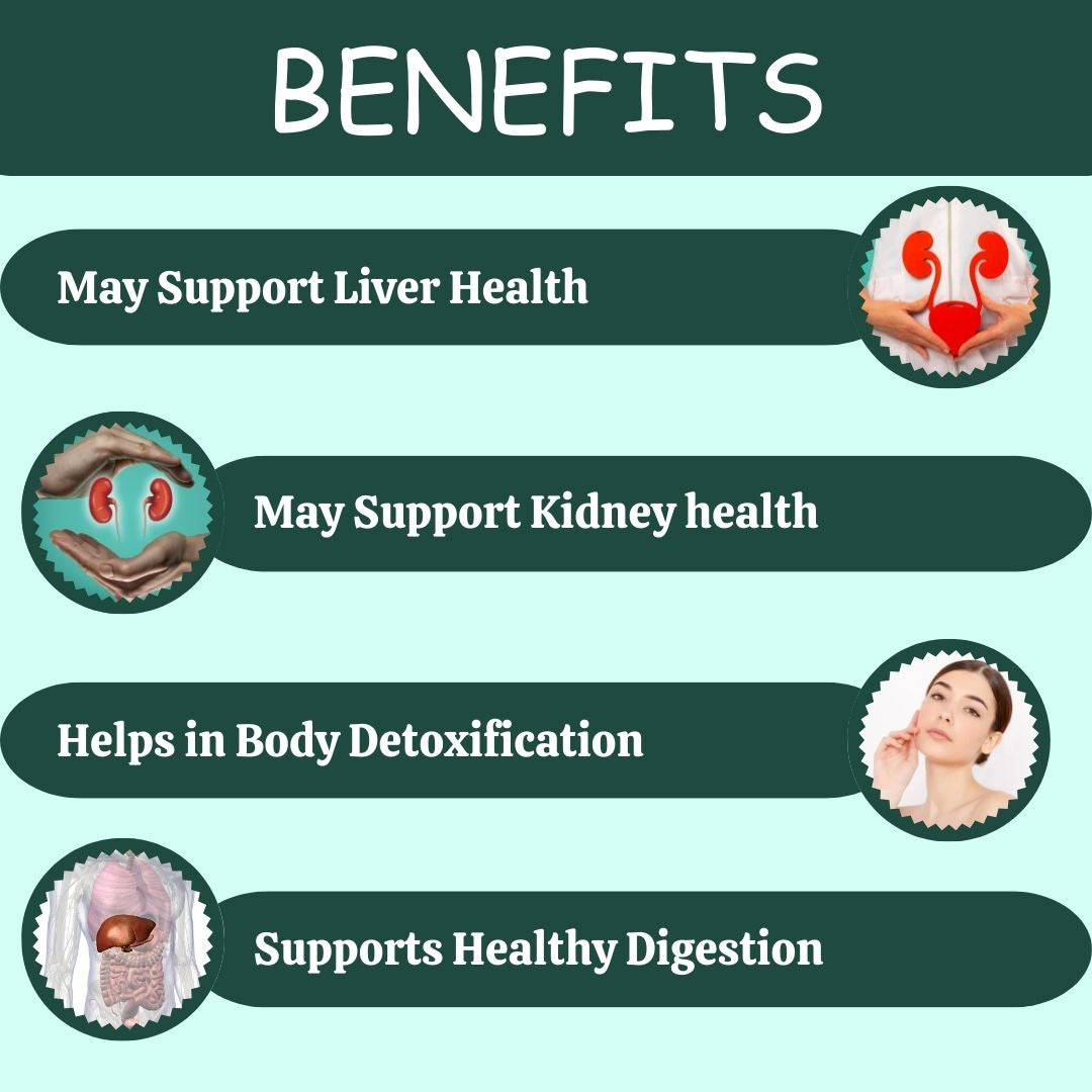 Herbal Hills Ayurveda Punarnavahills Capsules