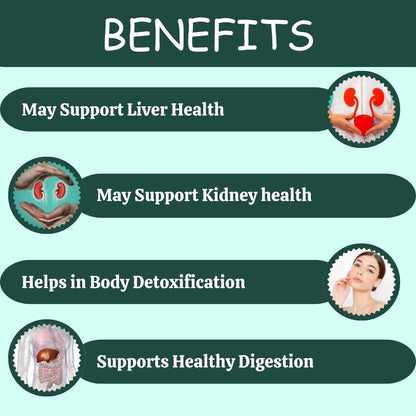 Herbal Hills Ayurveda Punarnavahills Capsules