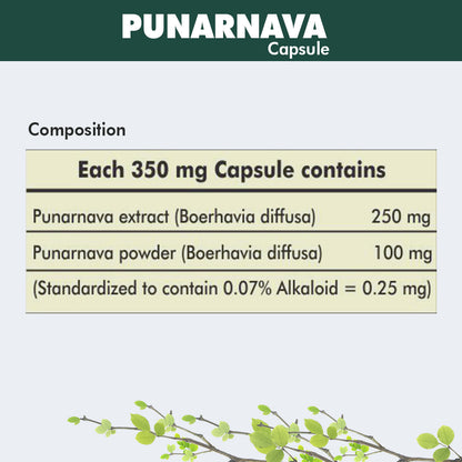 Herbal Hills Ayurveda Punarnavahills Capsules